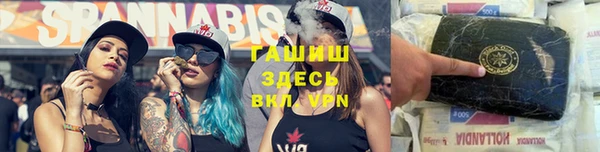 прущие грибы Аркадак
