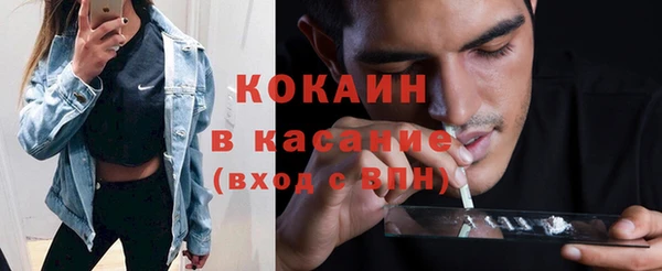 прущие грибы Аркадак