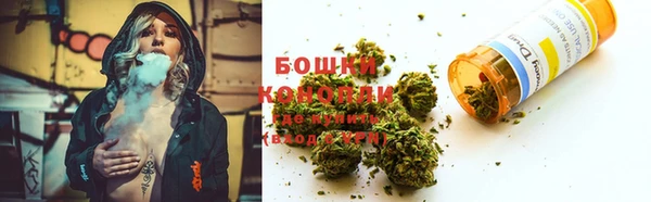 прущие грибы Аркадак