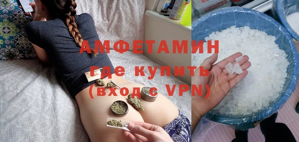 прущие грибы Аркадак