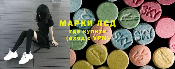 прущие грибы Аркадак