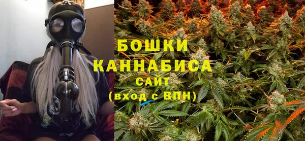 прущие грибы Аркадак